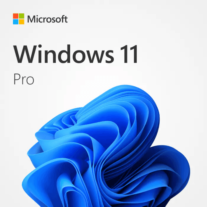 Windows 10 / 11 Pro OEM